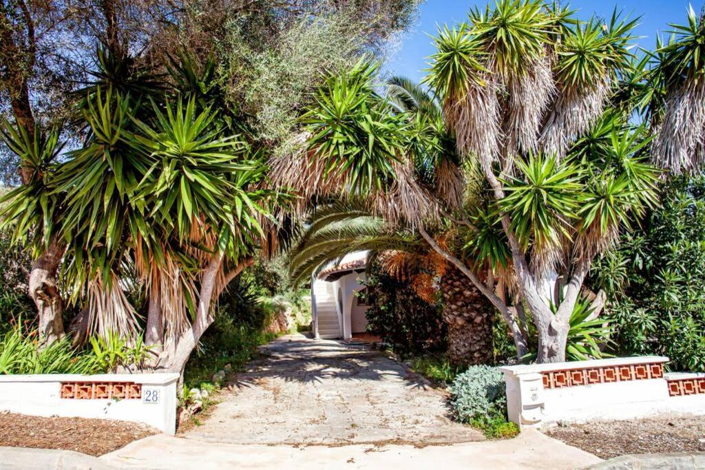 Villa Cecylia Es Canutells Exteriér fotografie